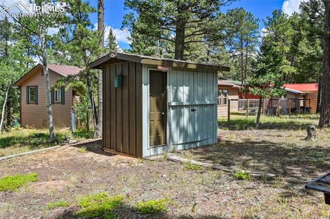 Tiny photo for 23 Narcissus Road, Woodland Park, CO 80863 (MLS # 7848846)