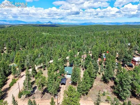 Tiny photo for 23 Narcissus Road, Woodland Park, CO 80863 (MLS # 7848846)