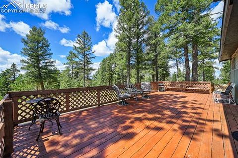 Tiny photo for 23 Narcissus Road, Woodland Park, CO 80863 (MLS # 7848846)