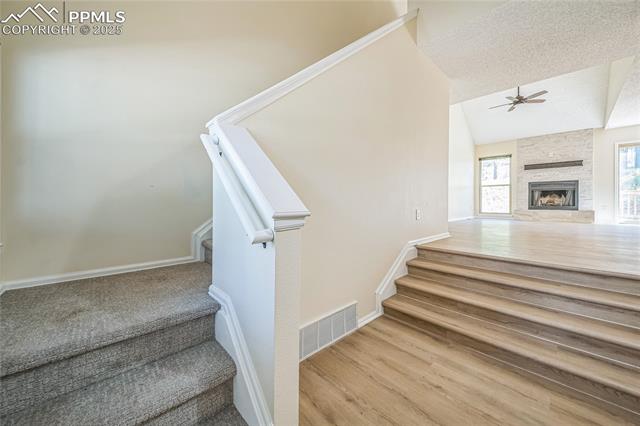 10635 Green Mountain Falls Road 4