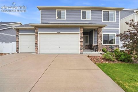 Photo of 8981 Sentry Drive, Fountain, CO 80817 (MLS # 7967376)