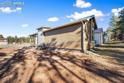 Tiny photo for 1181 Calm Mountain Point, Woodland Park, CO 80863 (MLS # 2919010)