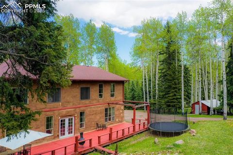 10955 Grenadier Road Woodland Park CO 80863