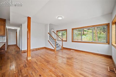 Tiny photo for 126 Saguache Drive, Florissant, CO 80816 (MLS # 3226133)