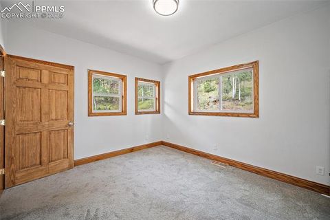 Tiny photo for 126 Saguache Drive, Florissant, CO 80816 (MLS # 3226133)