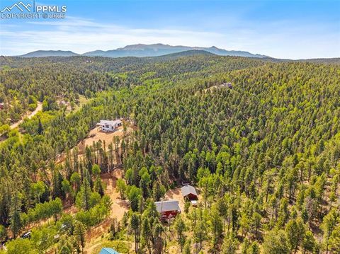 Tiny photo for 126 Saguache Drive, Florissant, CO 80816 (MLS # 3226133)
