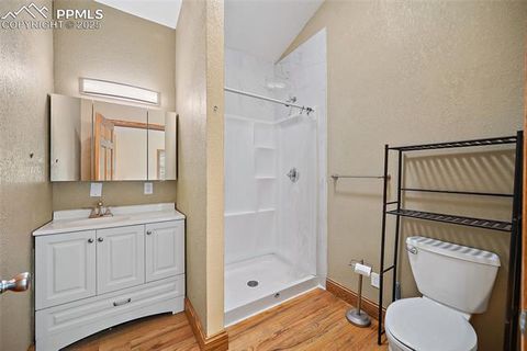 Tiny photo for 126 Saguache Drive, Florissant, CO 80816 (MLS # 3226133)