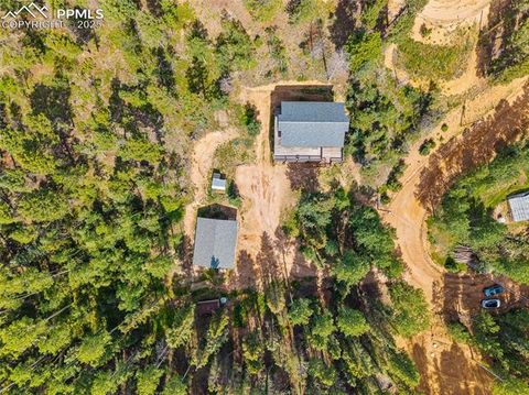 Tiny photo for 126 Saguache Drive, Florissant, CO 80816 (MLS # 3226133)