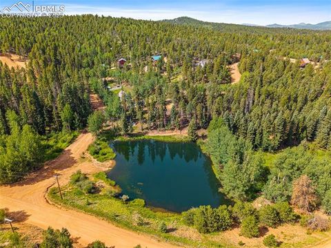 Tiny photo for 126 Saguache Drive, Florissant, CO 80816 (MLS # 3226133)