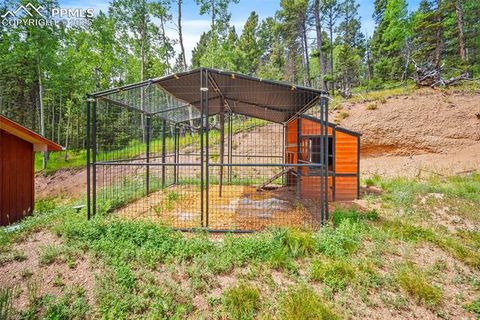 Tiny photo for 126 Saguache Drive, Florissant, CO 80816 (MLS # 3226133)