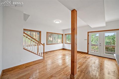 Tiny photo for 126 Saguache Drive, Florissant, CO 80816 (MLS # 3226133)