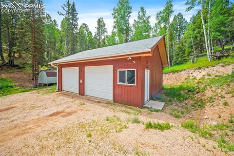 Tiny photo for 126 Saguache Drive, Florissant, CO 80816 (MLS # 3226133)