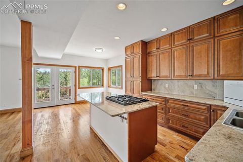 Tiny photo for 126 Saguache Drive, Florissant, CO 80816 (MLS # 3226133)