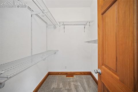 Tiny photo for 126 Saguache Drive, Florissant, CO 80816 (MLS # 3226133)