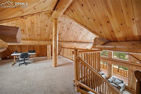 Tiny photo for 13475 Hedi Road, Woodland Park, CO 80863 (MLS # 1634416)