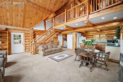 Tiny photo for 13475 Hedi Road, Woodland Park, CO 80863 (MLS # 1634416)