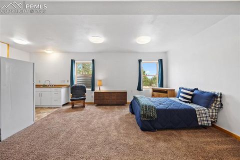 Tiny photo for 13475 Hedi Road, Woodland Park, CO 80863 (MLS # 1634416)
