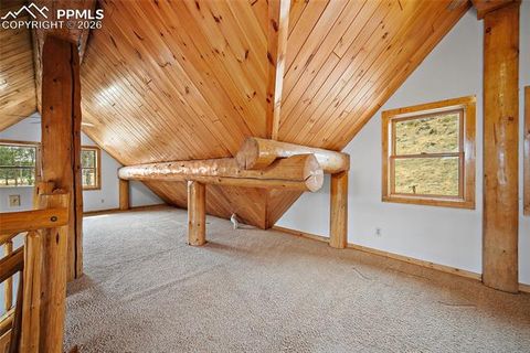 Tiny photo for 13475 Hedi Road, Woodland Park, CO 80863 (MLS # 1634416)