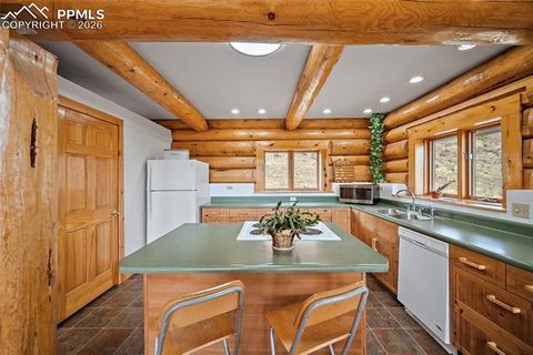 Tiny photo for 13475 Hedi Road, Woodland Park, CO 80863 (MLS # 1634416)
