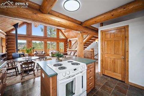 Tiny photo for 13475 Hedi Road, Woodland Park, CO 80863 (MLS # 1634416)