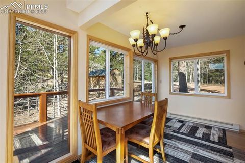 Tiny photo for 204 Kutsu Ridge Road, Florissant, CO 80816 (MLS # 1828073)
