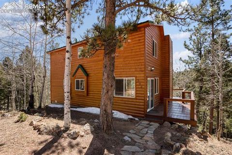 Tiny photo for 204 Kutsu Ridge Road, Florissant, CO 80816 (MLS # 1828073)