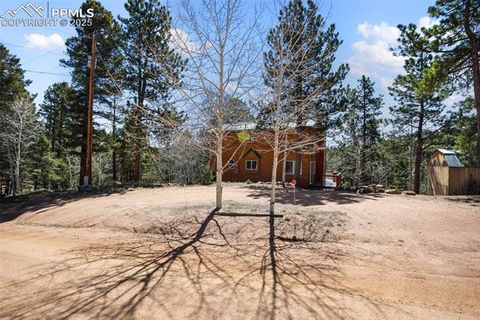 Tiny photo for 204 Kutsu Ridge Road, Florissant, CO 80816 (MLS # 1828073)