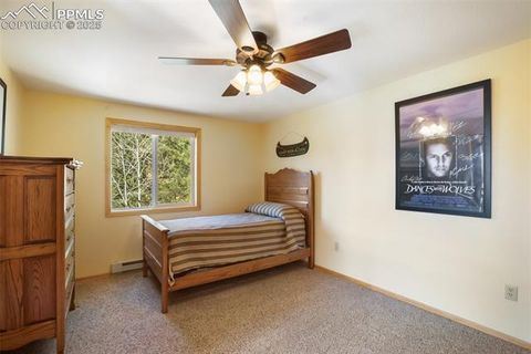 Tiny photo for 204 Kutsu Ridge Road, Florissant, CO 80816 (MLS # 1828073)