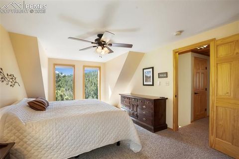 Tiny photo for 204 Kutsu Ridge Road, Florissant, CO 80816 (MLS # 1828073)