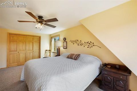 Tiny photo for 204 Kutsu Ridge Road, Florissant, CO 80816 (MLS # 1828073)