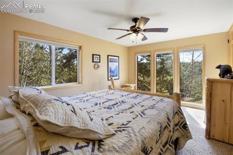 Tiny photo for 204 Kutsu Ridge Road, Florissant, CO 80816 (MLS # 1828073)