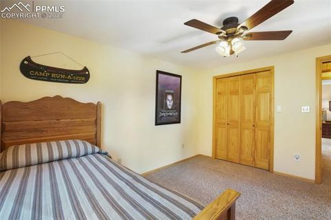 Tiny photo for 204 Kutsu Ridge Road, Florissant, CO 80816 (MLS # 1828073)