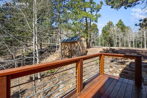 Tiny photo for 204 Kutsu Ridge Road, Florissant, CO 80816 (MLS # 1828073)
