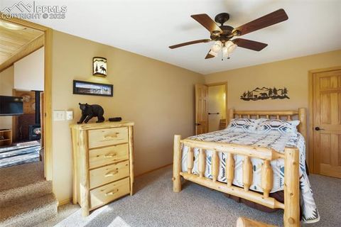 Tiny photo for 204 Kutsu Ridge Road, Florissant, CO 80816 (MLS # 1828073)