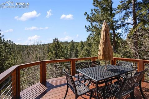 Tiny photo for 204 Kutsu Ridge Road, Florissant, CO 80816 (MLS # 1828073)