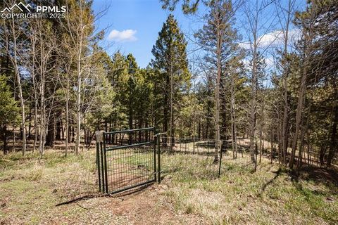 Tiny photo for 204 Kutsu Ridge Road, Florissant, CO 80816 (MLS # 1828073)