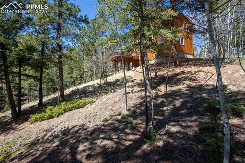 Tiny photo for 204 Kutsu Ridge Road, Florissant, CO 80816 (MLS # 1828073)