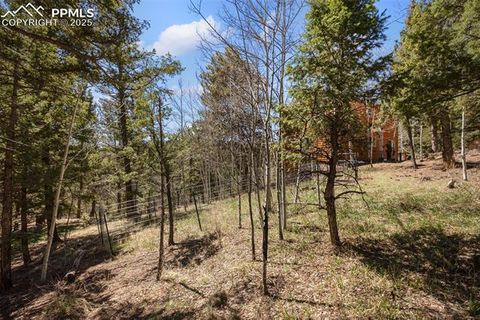 Tiny photo for 204 Kutsu Ridge Road, Florissant, CO 80816 (MLS # 1828073)