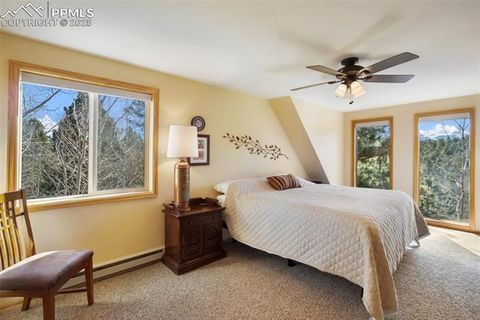 Tiny photo for 204 Kutsu Ridge Road, Florissant, CO 80816 (MLS # 1828073)