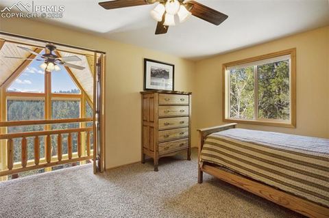 Tiny photo for 204 Kutsu Ridge Road, Florissant, CO 80816 (MLS # 1828073)