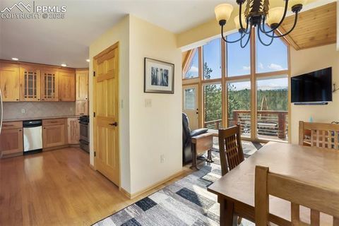 Tiny photo for 204 Kutsu Ridge Road, Florissant, CO 80816 (MLS # 1828073)
