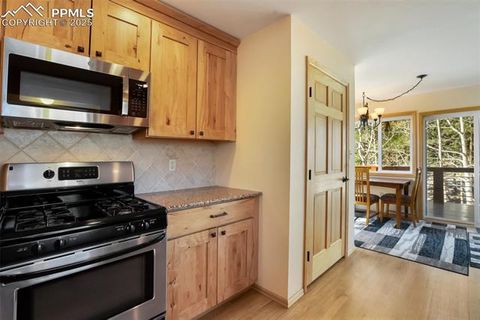 Tiny photo for 204 Kutsu Ridge Road, Florissant, CO 80816 (MLS # 1828073)