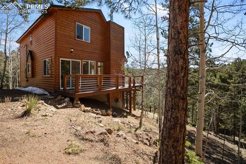 Tiny photo for 204 Kutsu Ridge Road, Florissant, CO 80816 (MLS # 1828073)