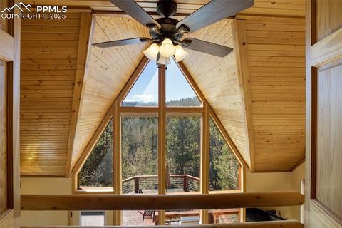 Tiny photo for 204 Kutsu Ridge Road, Florissant, CO 80816 (MLS # 1828073)