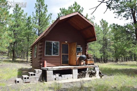Photo of 2728 Chipmunk Trail, Weston, CO 81091 (MLS # 9029764) Photo of 2728 Chipmunk Trail, Weston, CO 81091 (MLS # 9029764)