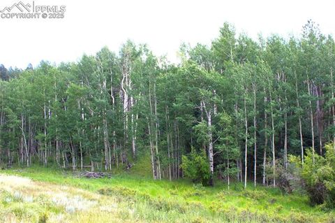 Photo of 344 Grey Eagle Drive, Cripple Creek, CO 80814 (MLS # 5153285)