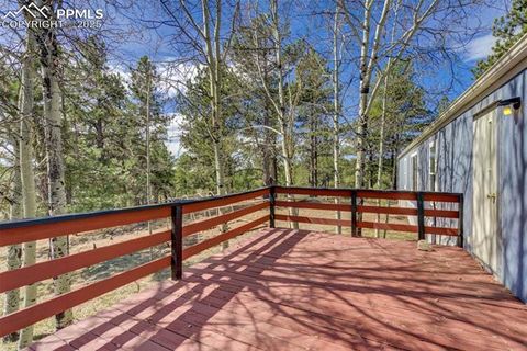 Tiny photo for 1360 Kiowa Road, Florissant, CO 80816 (MLS # 2538364)