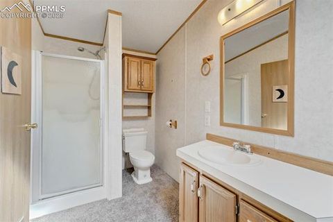 Tiny photo for 1360 Kiowa Road, Florissant, CO 80816 (MLS # 2538364)