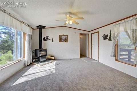 Tiny photo for 1360 Kiowa Road, Florissant, CO 80816 (MLS # 2538364)