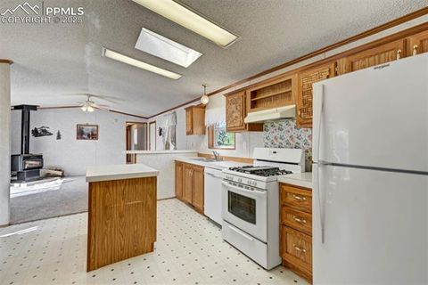 Tiny photo for 1360 Kiowa Road, Florissant, CO 80816 (MLS # 2538364)